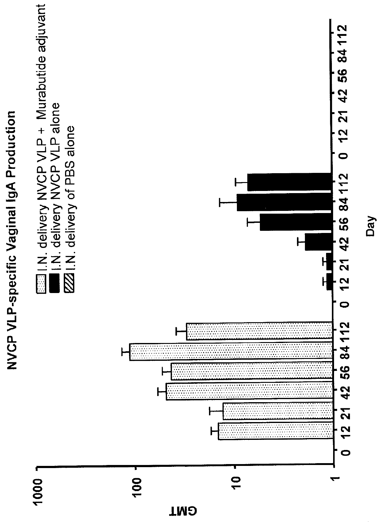 Mucosal Immunization