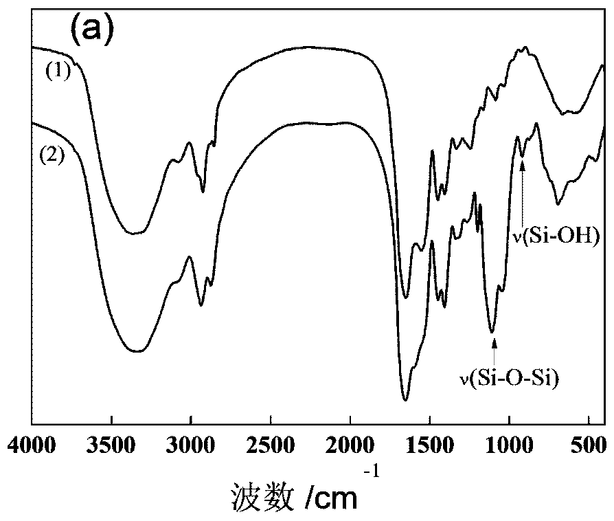 A kind of preparation method of wood adhesive with hydrolyzed collagen as raw material