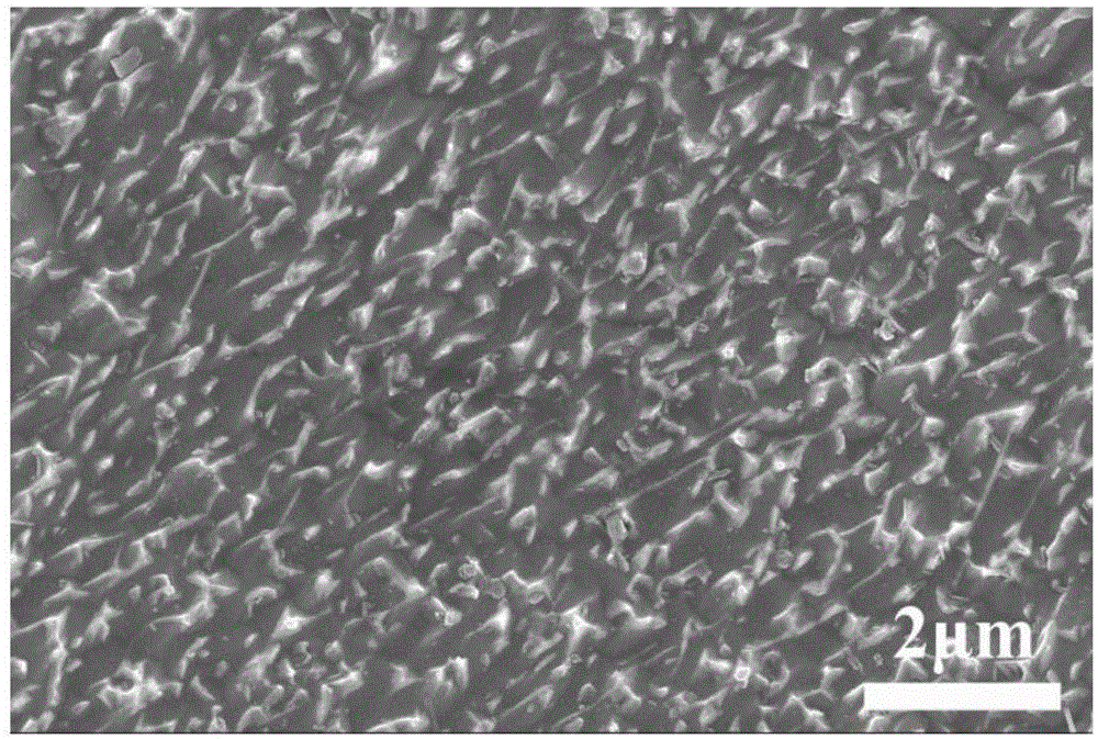 Preparation method and application of titanium surface polydopamine film