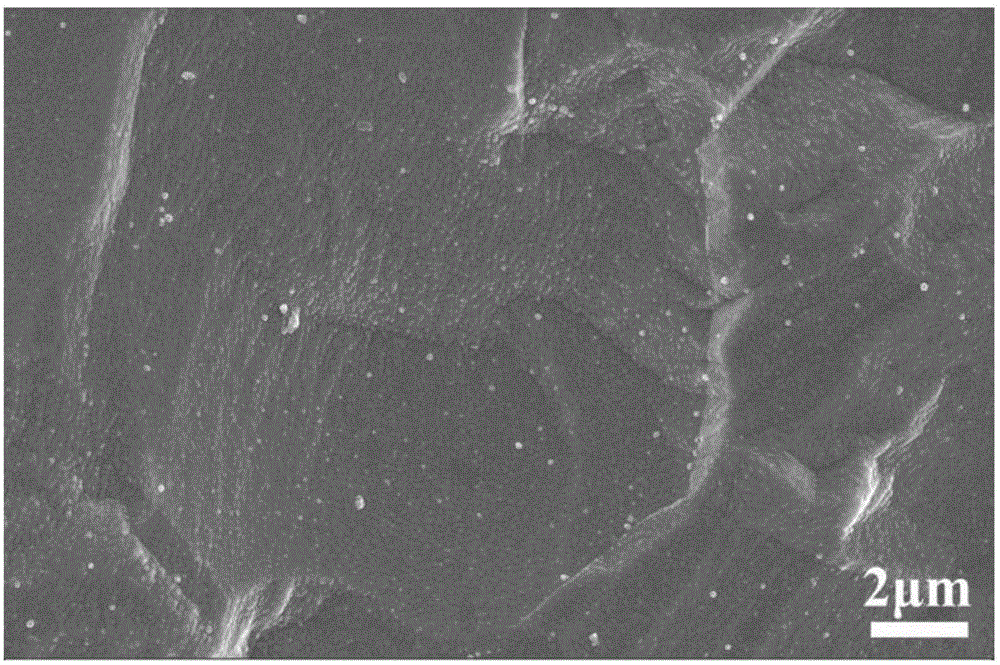 Preparation method and application of titanium surface polydopamine film