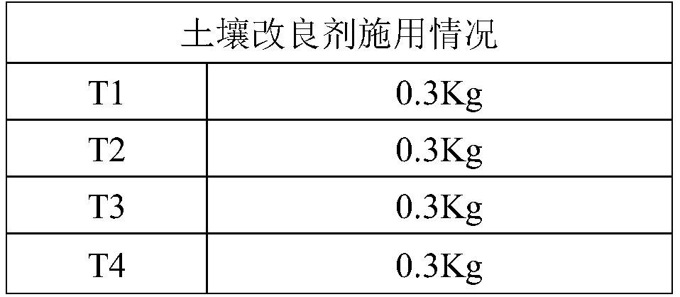 Microbial improver for improving soil aggregate structure and application thereof