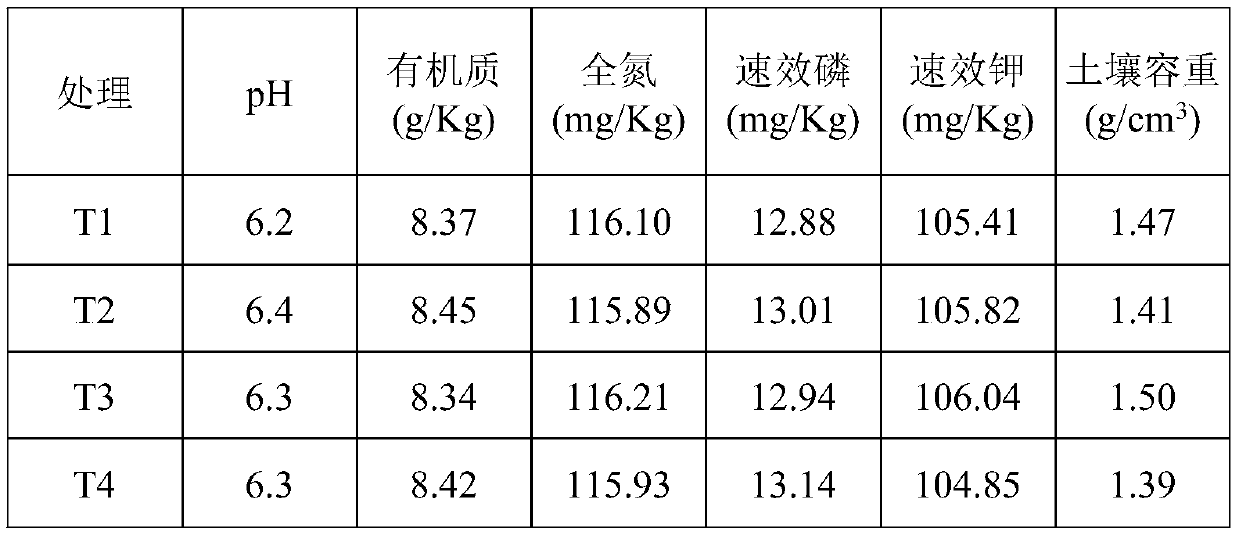 Microbial improver for improving soil aggregate structure and application thereof