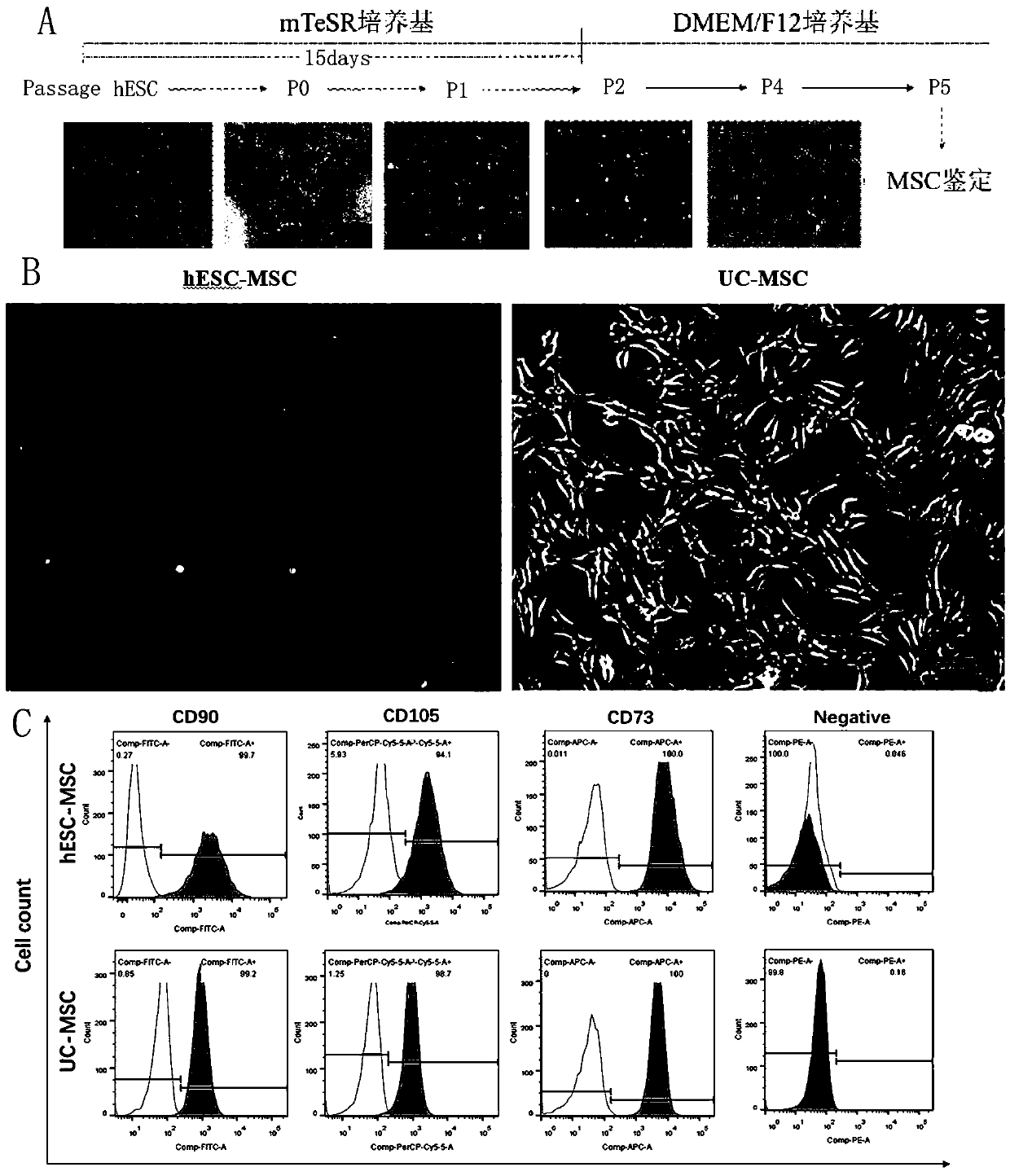 Efficient and reliable preparation method of hESC-MSC