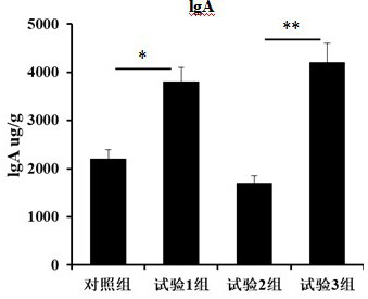 Bacillus coagulans BC66 and application thereof