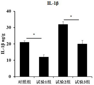 Bacillus coagulans BC66 and application thereof