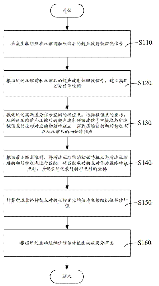 Elastography method, elastography system, and biological tissue displacement estimation method and biological tissue displacement estimation system in elastography