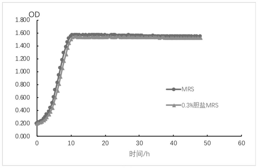 Pediococcus pentosaceus HG-9 and application thereof