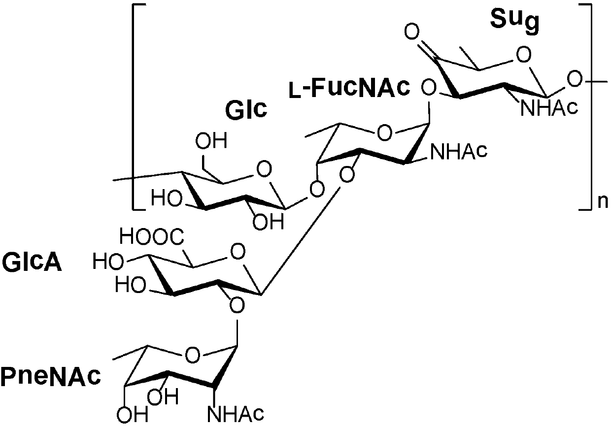 Vaccines against streptococcus pneumoniae serotype 5