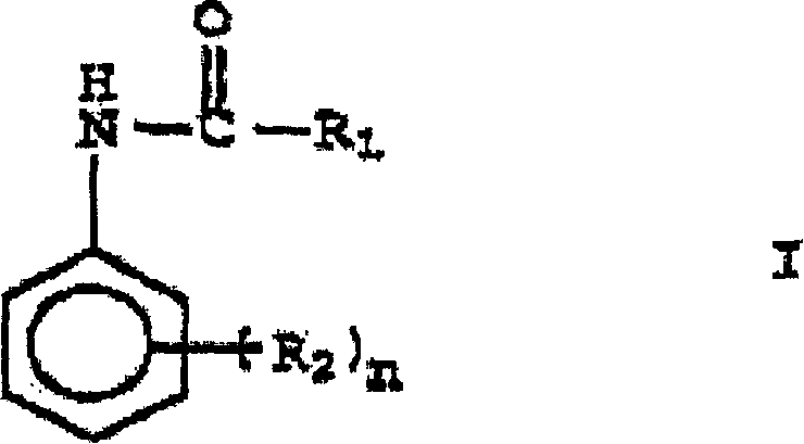 Catalyst solution for implementing anionic lactam polymerisation, method for production thereof and polyamide moulding compound