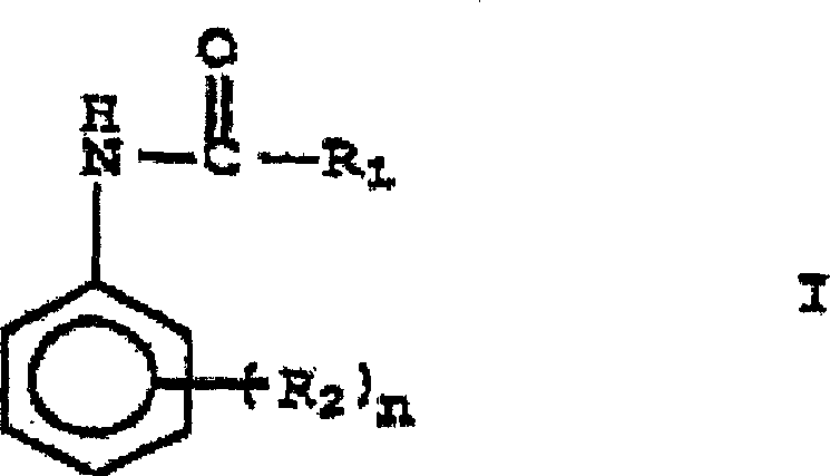 Catalyst solution for implementing anionic lactam polymerisation, method for production thereof and polyamide moulding compound