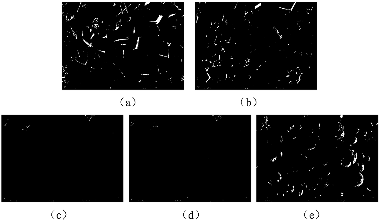 Preparation method and application of phase-controllable manganese oxide