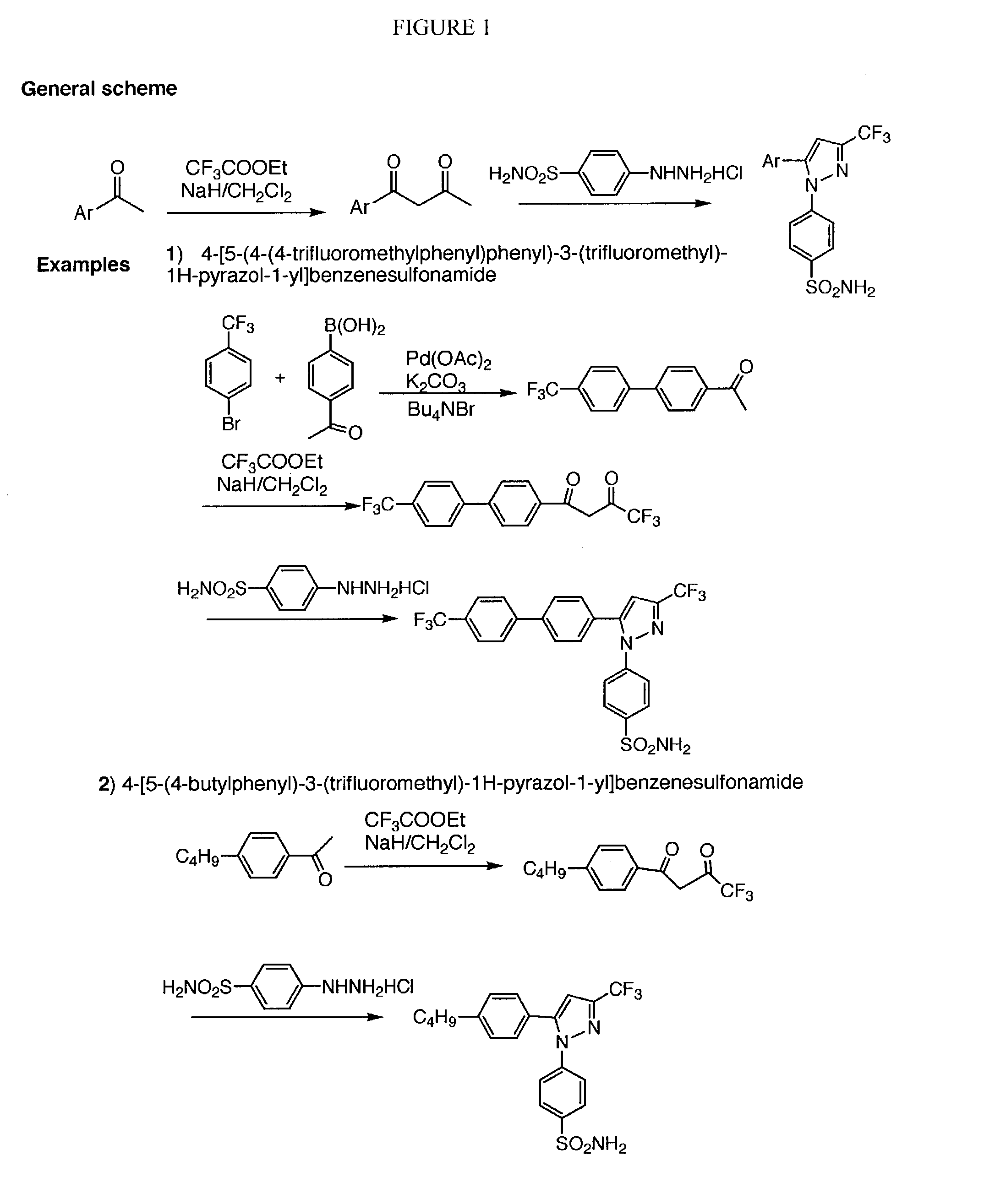 Compounds and methods for inducing apoptosis in proliferating cells