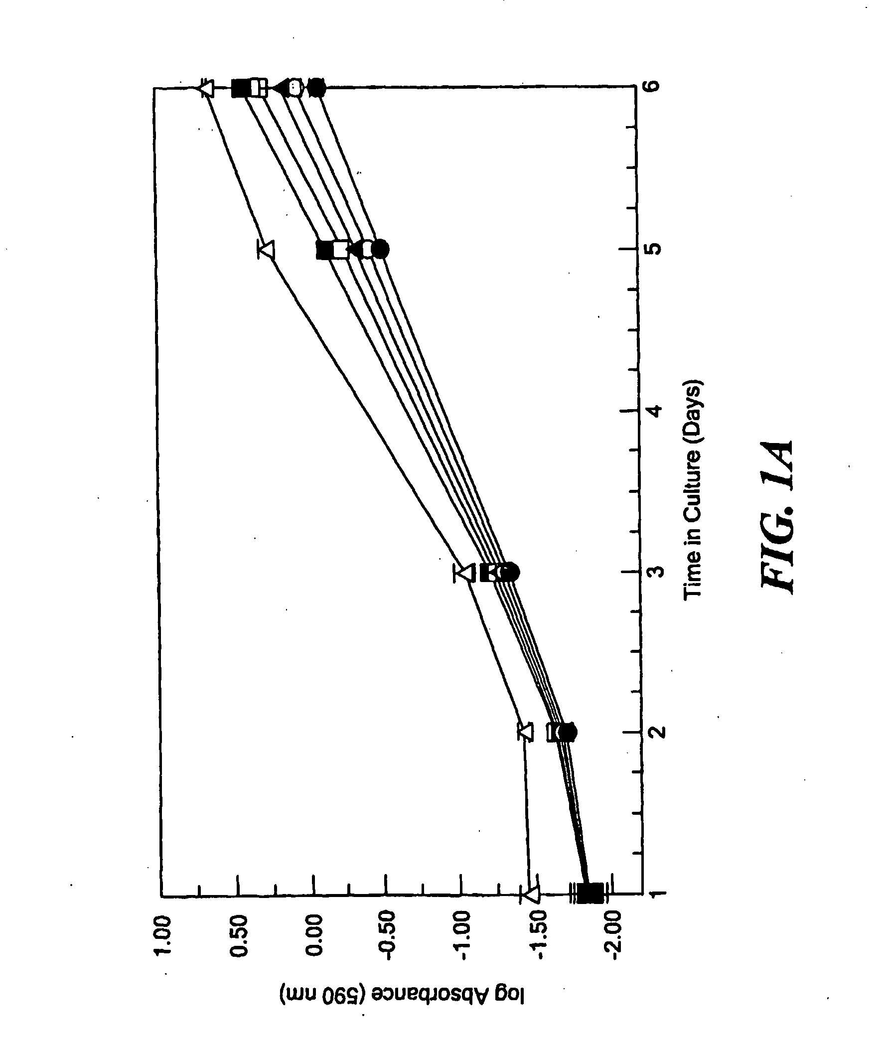 Use of the Pro-Peptide Domain of Lysyl Oxidase as a Therapeutic Agent