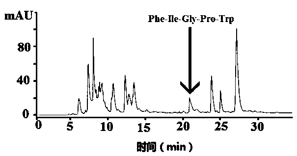 Navodon septentrionalis fish-skin antioxidant collagen peptide and preparation method and use thereof