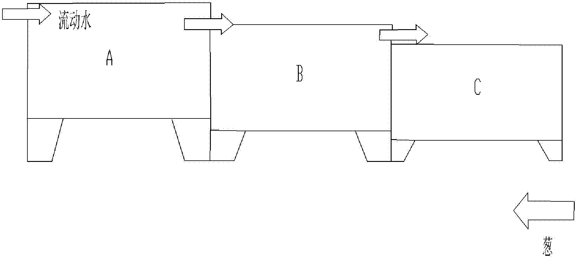 Processing method of scallion