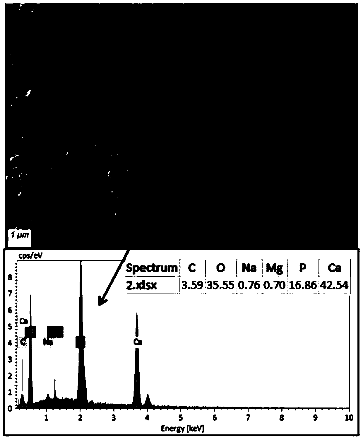 Bone repair material constructed by 3D printing, preparation method and application thereof