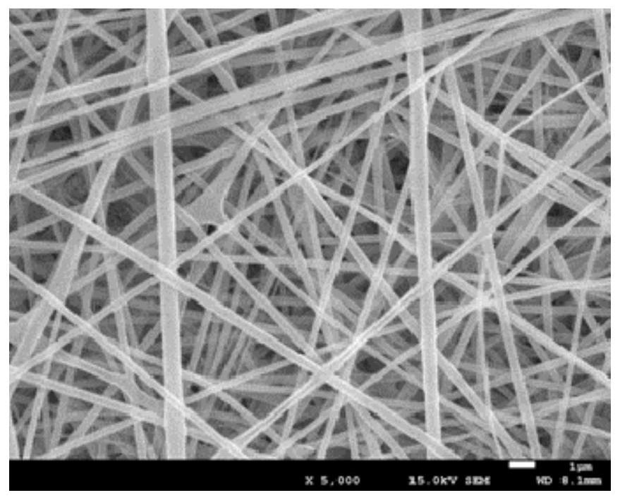 A kind of polymer composite membrane and preparation method thereof and lithium ion battery including same