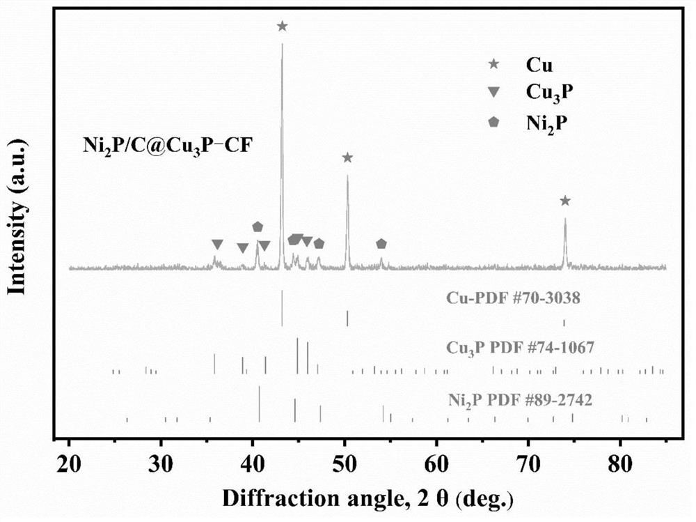 A MOF-derived porous metal phosphide nanosheet array and its application