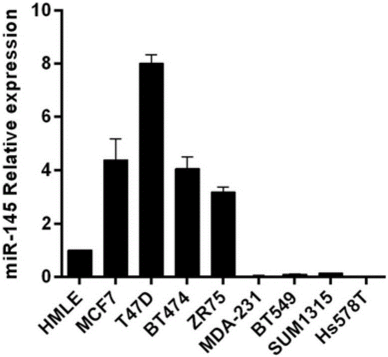 Application of composition in diagnosis of triple negative breast cancer