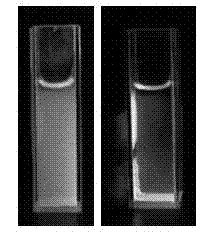 Magnetic chitosan/doped rare earth compound particles and preparation method thereof