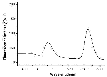 Magnetic chitosan/doped rare earth compound particles and preparation method thereof