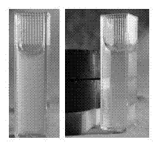 Magnetic chitosan/doped rare earth compound particles and preparation method thereof