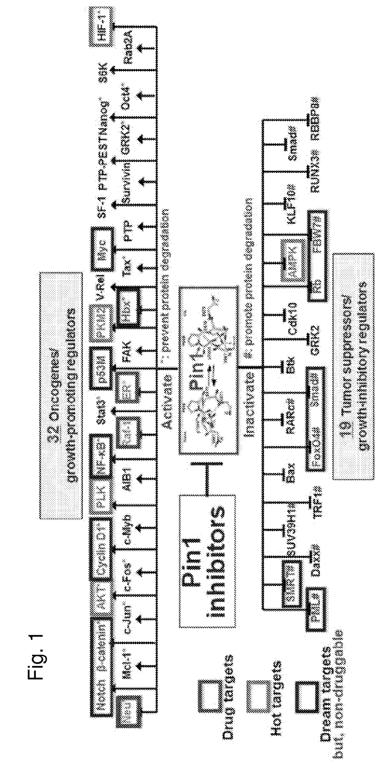 Enhanced atra-related compounds derived from structure-activity relationships and modeling for inhibiting pin1