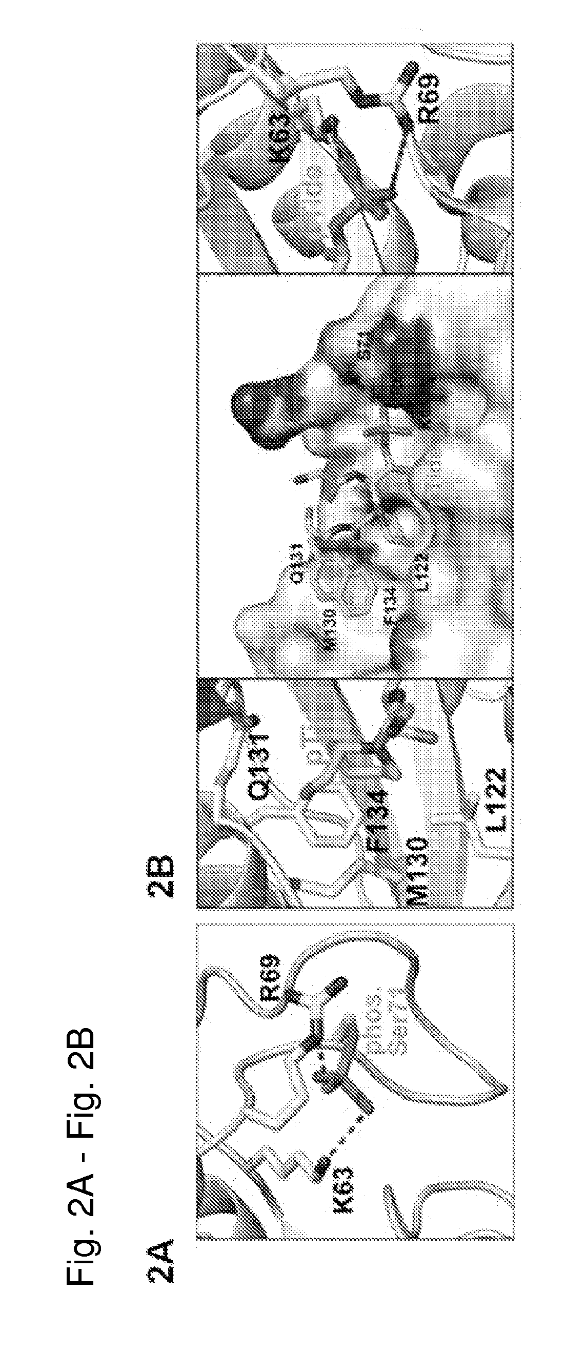 Enhanced atra-related compounds derived from structure-activity relationships and modeling for inhibiting pin1