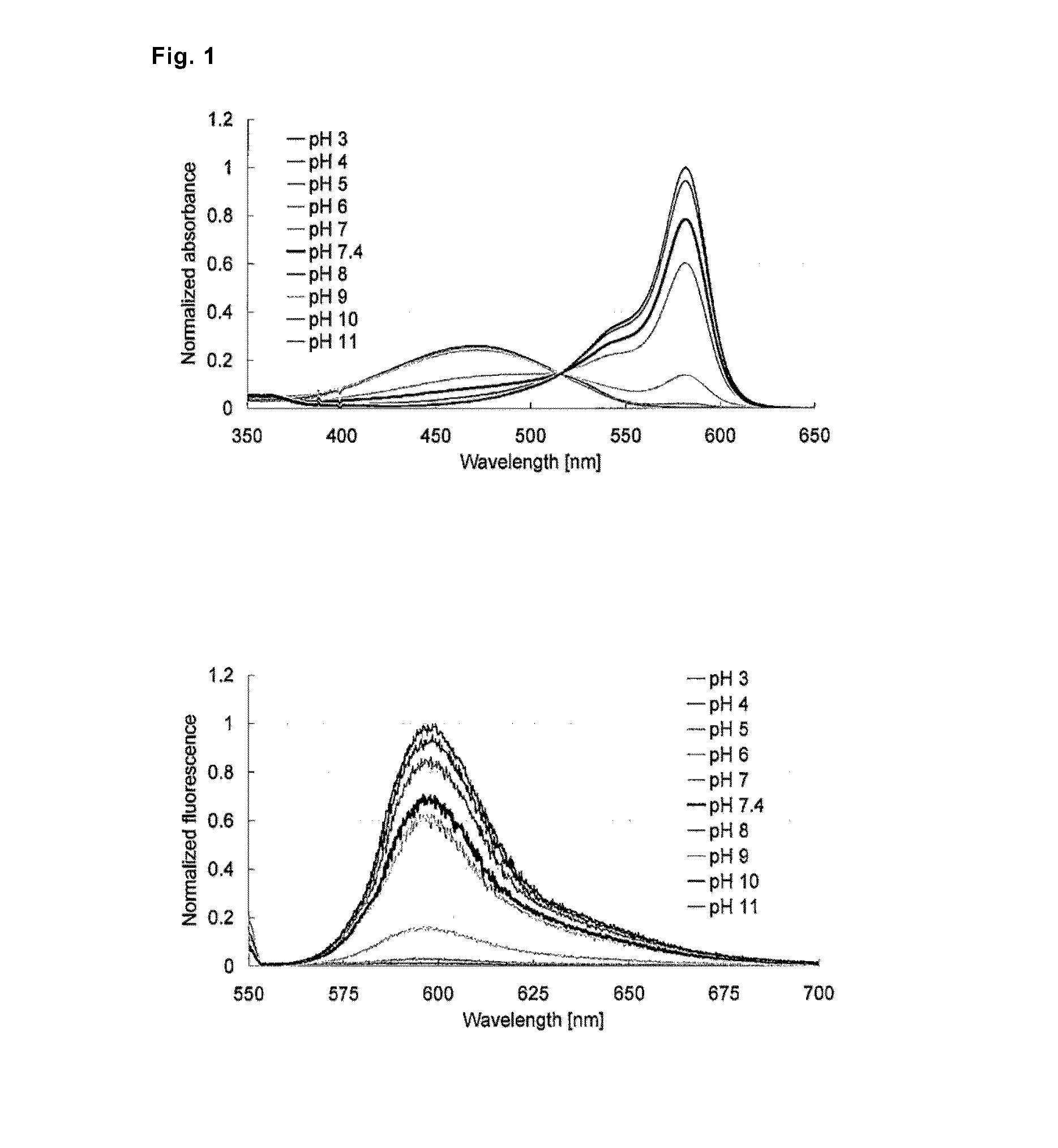 Fluorescent probe