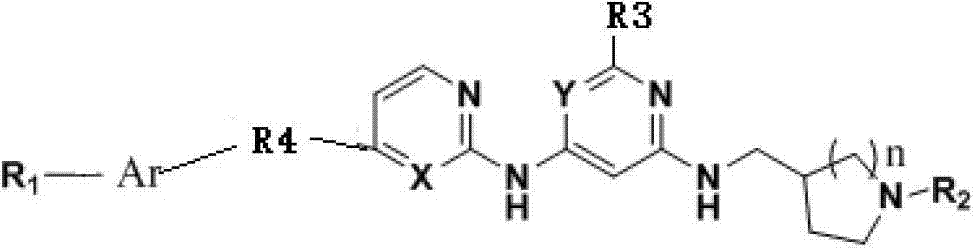 Bcr/Abl tyrosine kinase inhibitor as well as preparation method and application thereof in treating chronic granulocytic leukemia