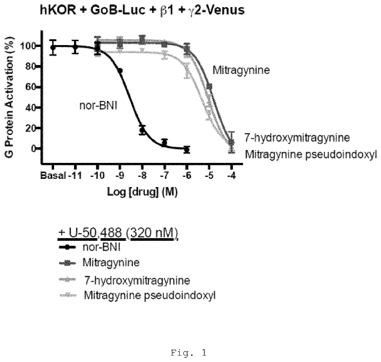 Mitragynine alkaloids as opioid receptor modulators