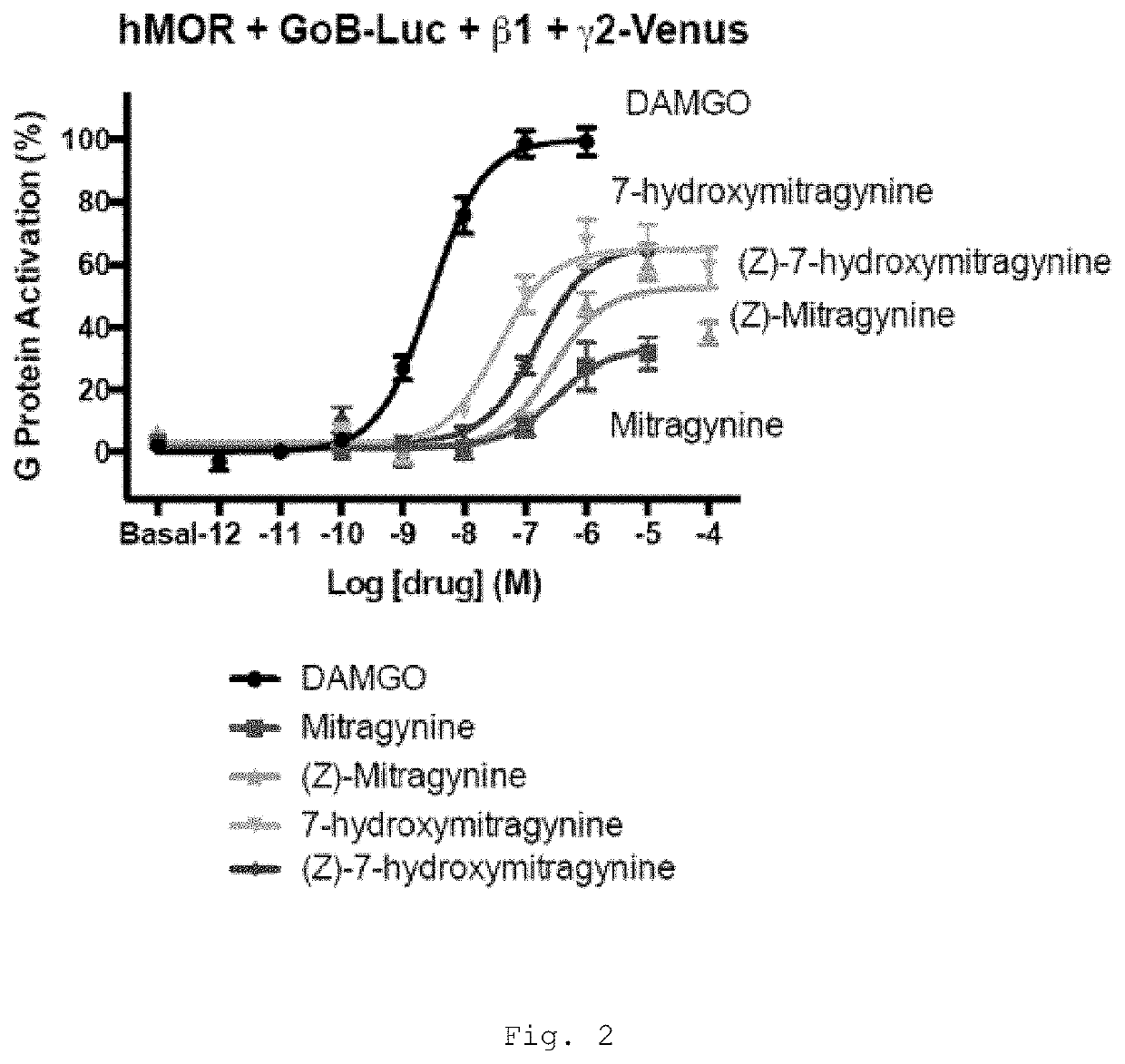 Mitragynine alkaloids as opioid receptor modulators