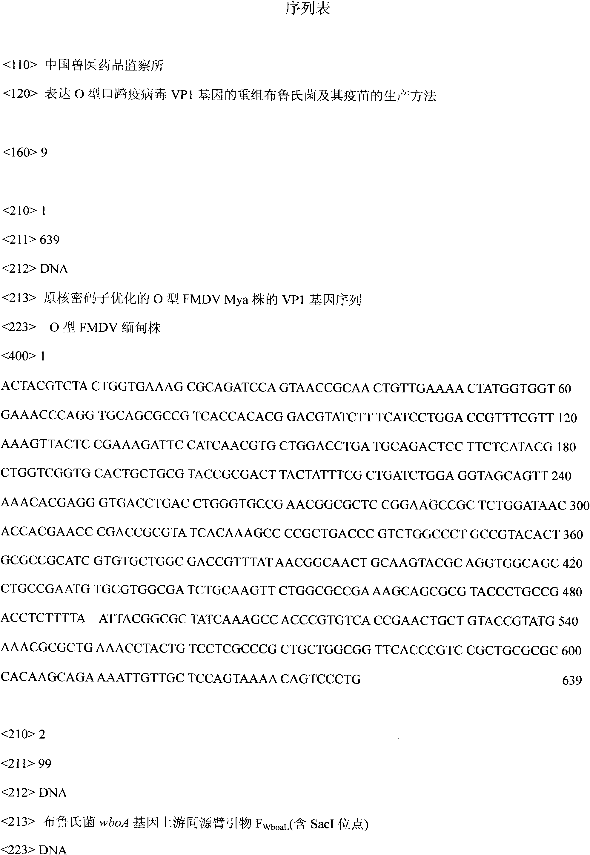 Recombinant brucella expressing VP1 gene of O-type foot-and-mouth disease virus and method for producing vaccines thereof