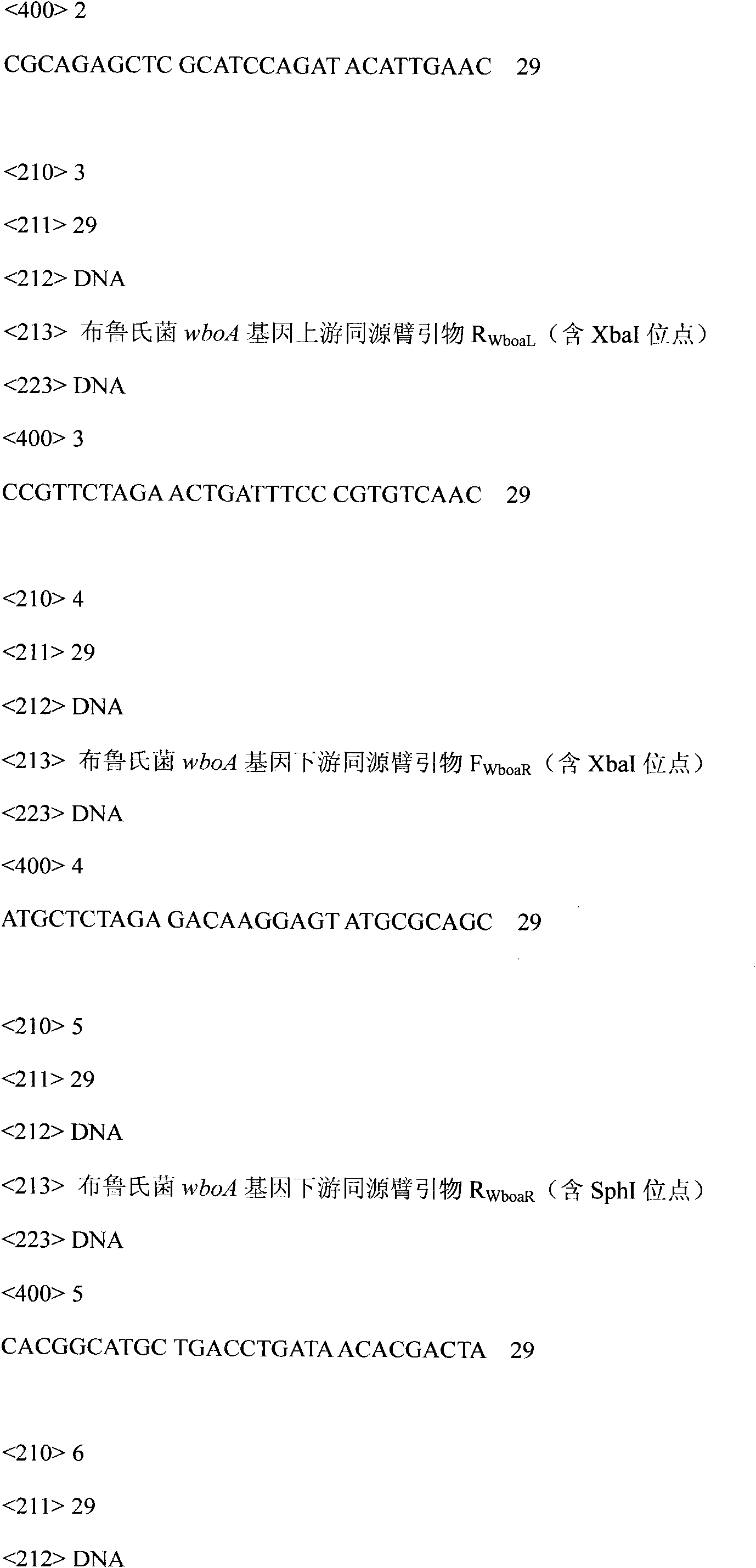 Recombinant brucella expressing VP1 gene of O-type foot-and-mouth disease virus and method for producing vaccines thereof