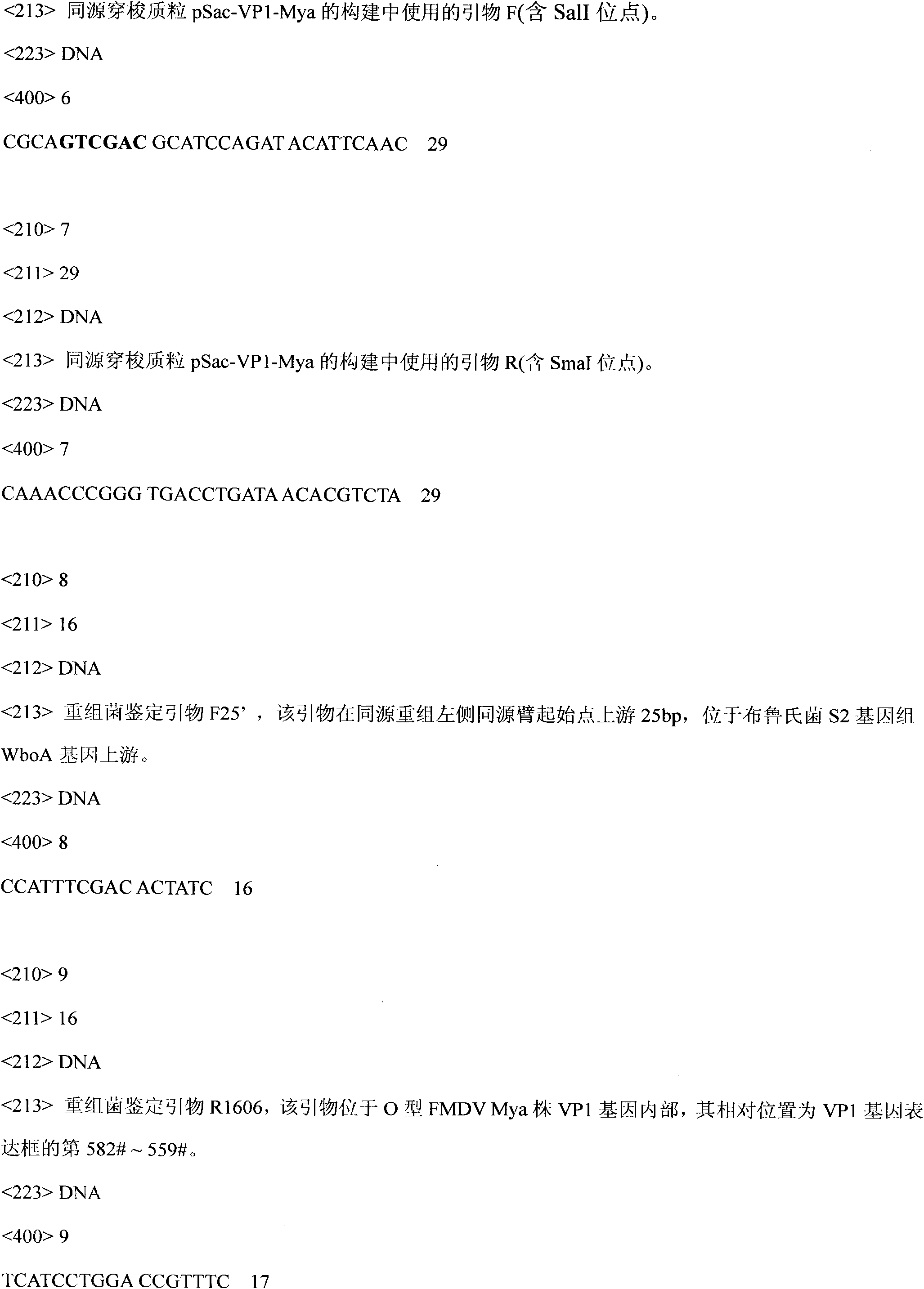 Recombinant brucella expressing VP1 gene of O-type foot-and-mouth disease virus and method for producing vaccines thereof