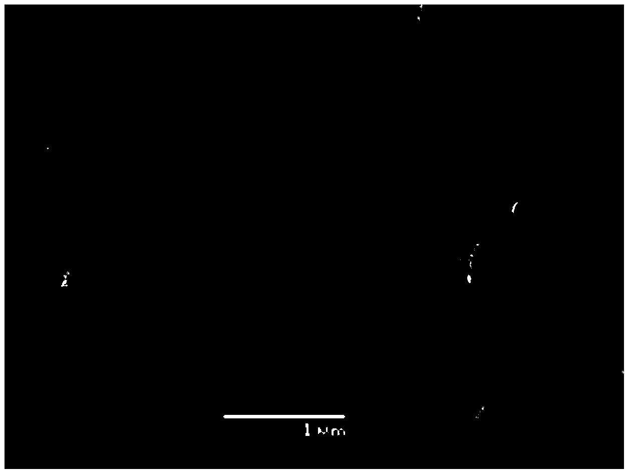 Synthesis method of basic zinc chloride monocrystal nanorods