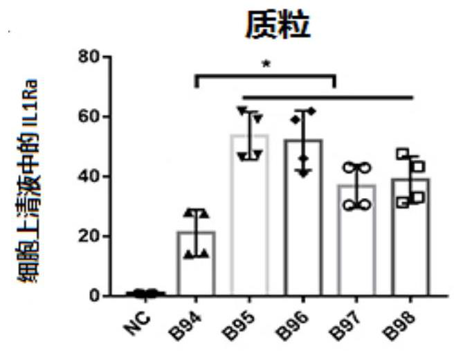 Expression cassette of interleukin-1 receptor antagonist protein and AAV-based gene delivery system