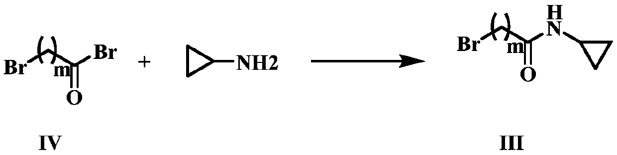 Niclosamide cyclo-propyl derivative as well as preparation method and application thereof