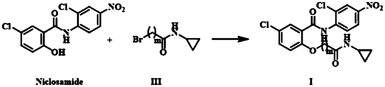 Niclosamide cyclo-propyl derivative as well as preparation method and application thereof