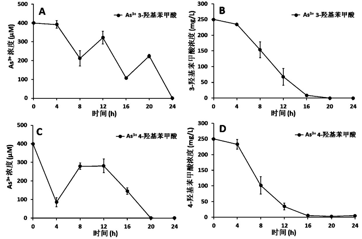 Hydrogenophaga sp. H7 capable of degrading aromatic compounds and removing nitrogen and arsenic, and application thereof