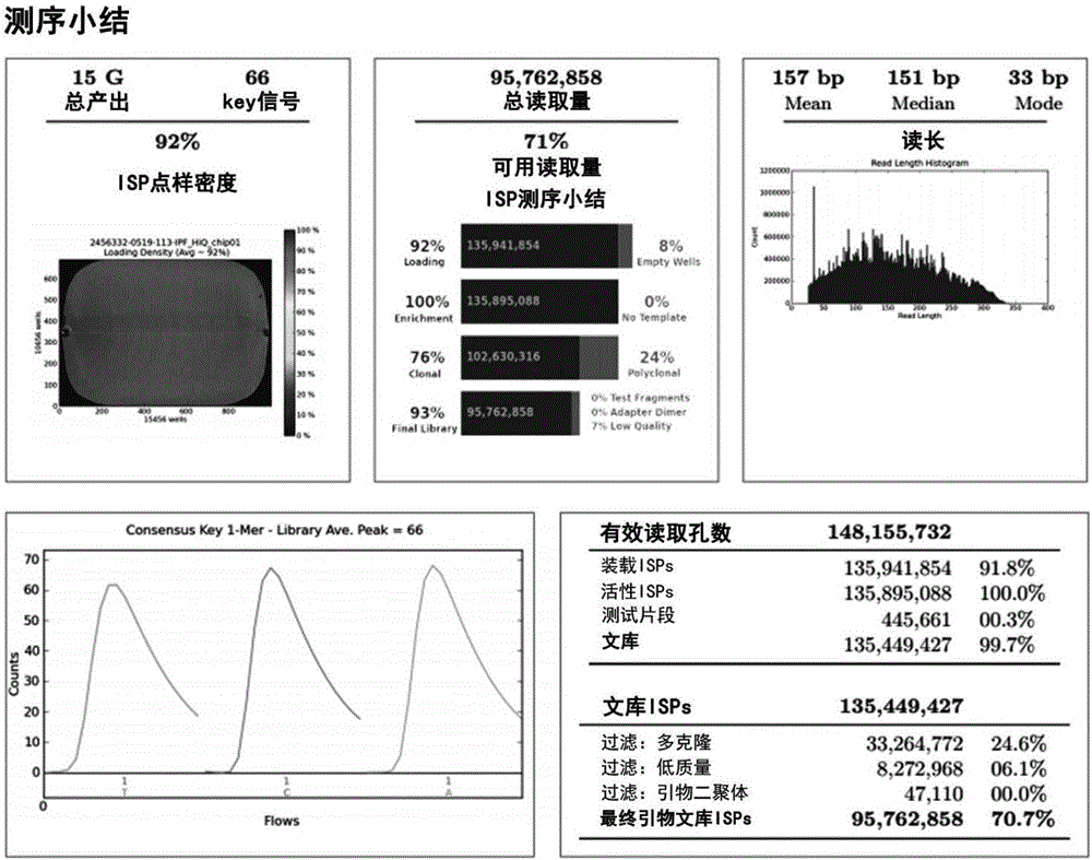 DNA library for detecting idiopathic pulmonary fibrosis pathogenic genes and application of DNA library