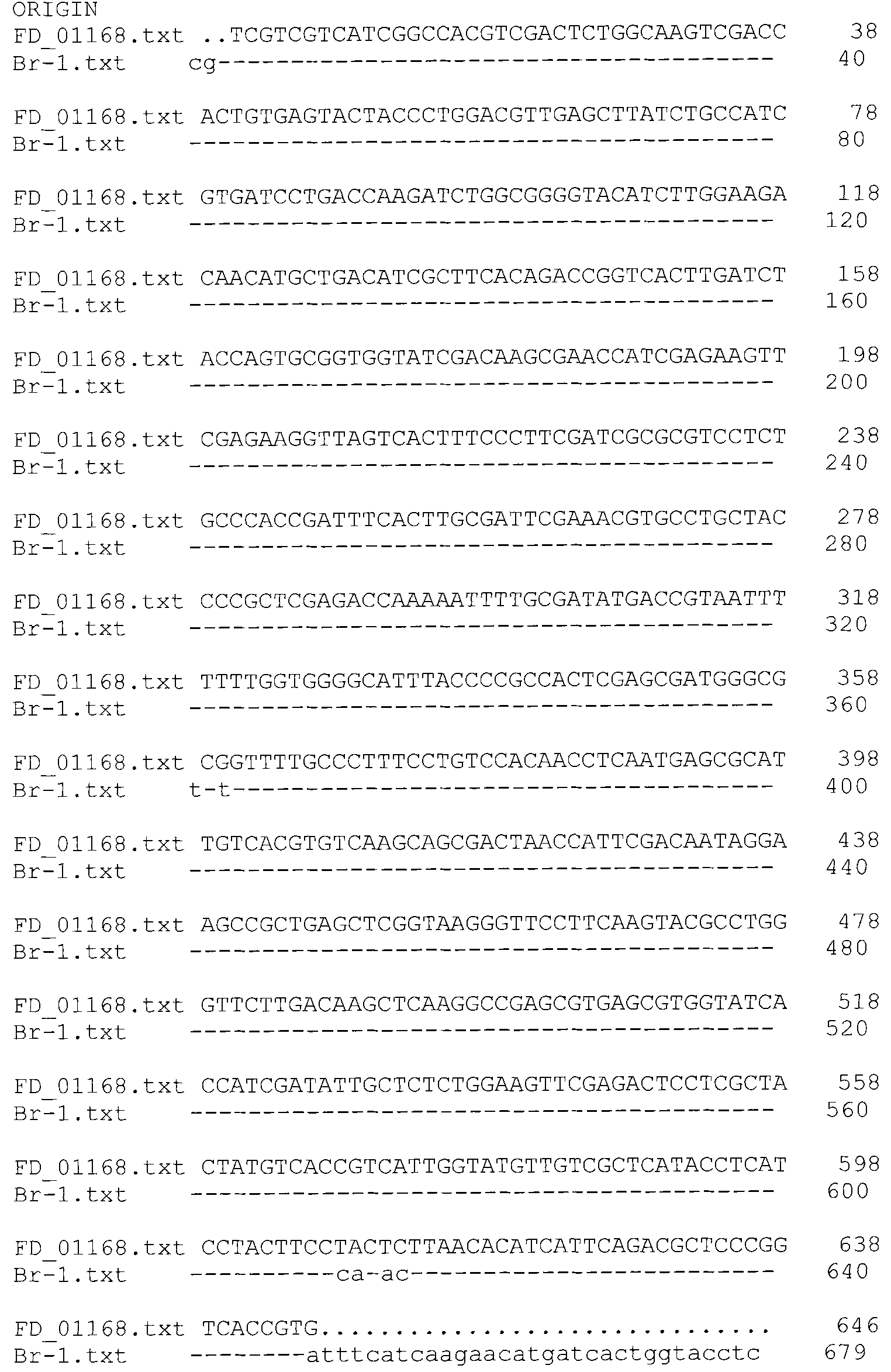 Fusarium proliferatum, and bacterium agent and application thereof