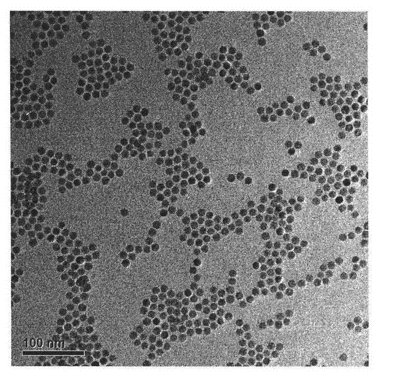 Preparation method of SPIO.SiO2-WGA (Wheat Germ Agglutinin) intestinal wall targeting contrast agent