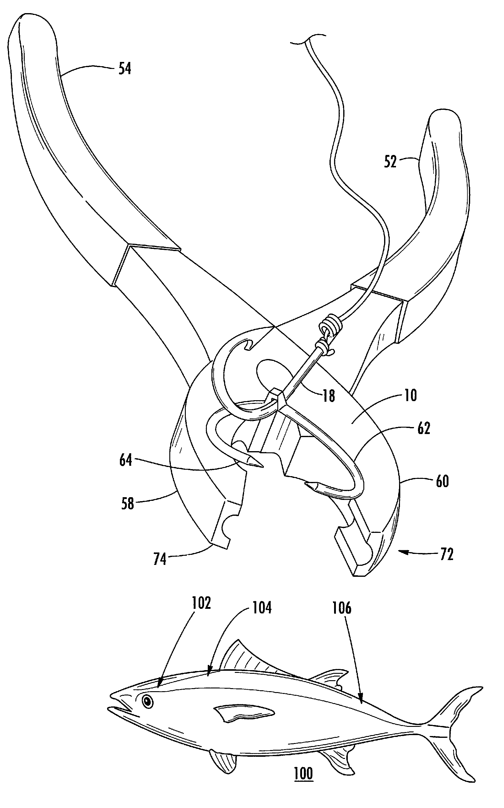 Apparatus and method for securing bait fish