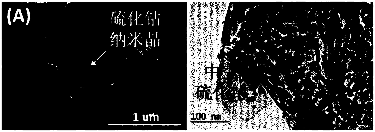 Graphene-based hollow cobaltous sulfide nanocrystal capable of efficiently activating persulfate and preparation method thereof