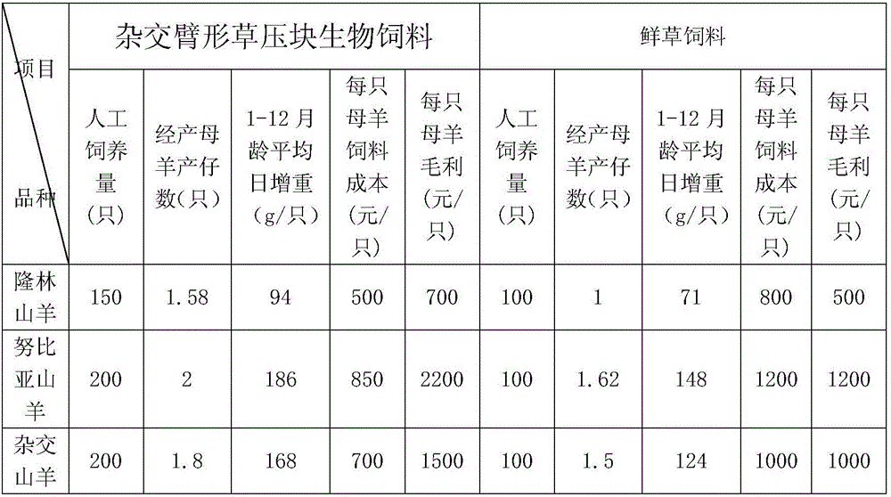 Bachiaria-hybrid cattle-and-sheep blocked biological feed and preparing method thereof