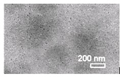 Carbon nano tube/polyaniline/polysulfone composite ultra-filtration membrane and preparing method thereof