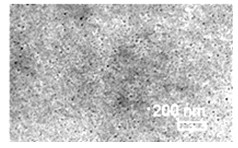 Carbon nano tube/polyaniline/polysulfone composite ultra-filtration membrane and preparing method thereof