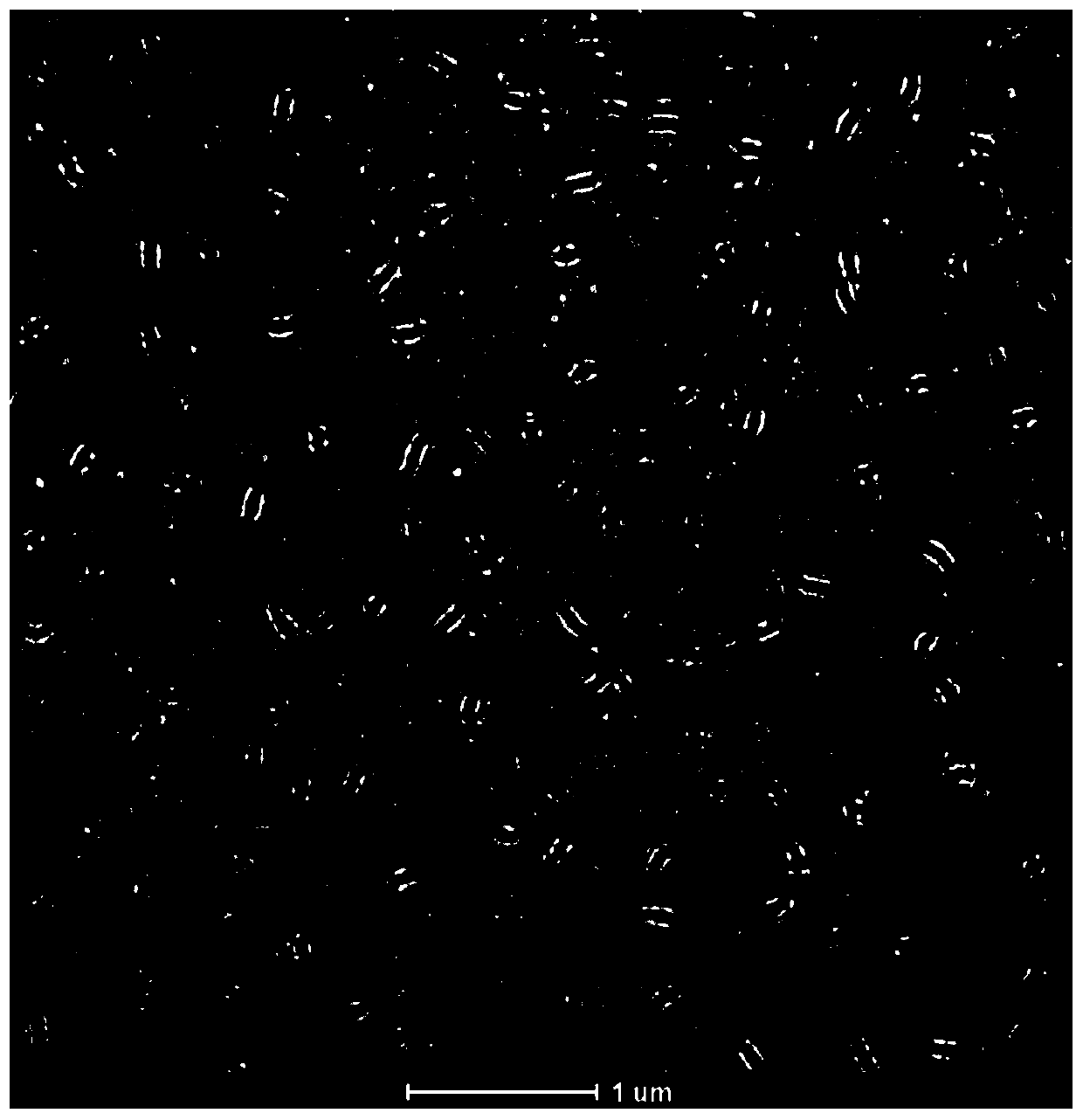 Human mycoplasma pneumoniae monoclonal antibody and its application