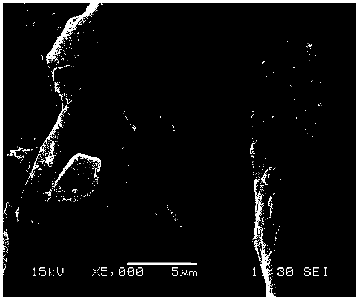 Rape straw modified biochar composite material for removing quizalofop-p-ethyl in water body and preparation method and application of rape straw modified biochar composite material